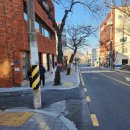 통영터널로가로수 이미지