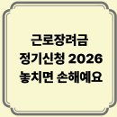 정기