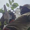 경북대학교 정문 이미지