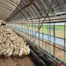 만전농장 이미지