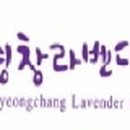 국제허브아카데미