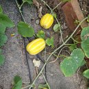 사랑지기 이미지