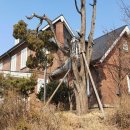 금창로 19 네이버블로그