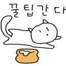 포스코타워 꿈나무어린이집