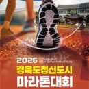 2026 경북도청신도시 마라톤대회 | 일정·장소·참가신청 이미지