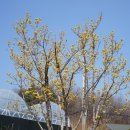 가야마을경로당 이미지