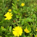 장제로155번길 | 부평신점 잘보기로 소문난 곳 약사암 선생님 추천! :)