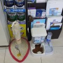 바우동물병원 이미지