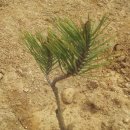 도연농원 이미지