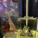 [서울 강남] 강남역 24시간 영업 룸 술집 큐브 뮤직타운에서 프라이빗 생일 파티 후기