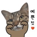 육회주막 이미지