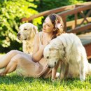 24시 더블유 동물의료센터 이미지