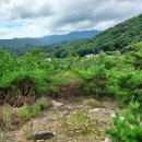 영기농장 이미지