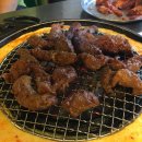 마포갈매기 이미지