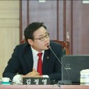 김정영 카카오 검색결과