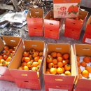 유명자농장 이미지