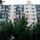 서초-서초-서초-20304 이미지