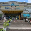 진양호캐리비안워터파크 | 진주 워터파크 추천! 아이와 함께 다녀온 진양호 캐리비안 워터파크 후기