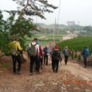 팔봉중학교 이미지