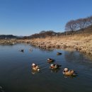 청도천 이미지