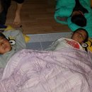 천일태권도장 이미지