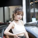 비아이피오토