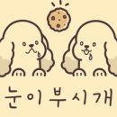 눈이부시개 이미지