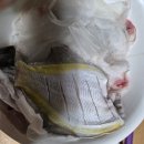 문암2리항 이미지