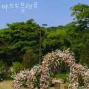 마끄드플레르