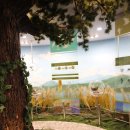 송지호관망타워(내부) 이미지