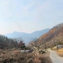 광주시 퇴촌면 보전관리 대지 임야등..3120평 일부 산지전용허가 이미지