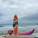 신항만 반점 이미지