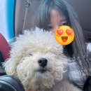 땡큐 펫 살롱 이미지