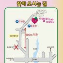 속초응골딸기Lab