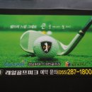 레알스크린골프 이미지