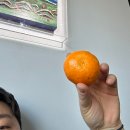 우리도자연예술가 | 거의 일년만에 쓰는 일상글 + 갤러리 운영하는 전시기획자의 애환..😱ㅋㅋㅋ