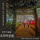 예술공원 주차장 공중화장실 | 천연기념물 벚꽃의 향연 후쿠오카 근교 여행으로 다녀온 나가사키 오무라 공원 축제 2026 실시간