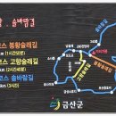 금산-59 이미지