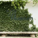 아미미술관 이미지