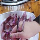 구이강산 이미지