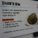 도리김밥 이미지