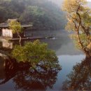 잘돼지 - 오산시 내삼미로79번길 46 | 잘돼지