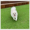 아이조아 요양보호소 경기광주 이미지