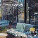 천안업성고등학교 | 천안 매화 꽃 피는 대형카페 :: 모게닉 Mogenic