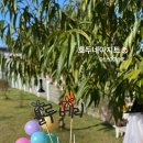 프랑테리 펫푸드 이미지