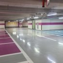 네오파니 이미지