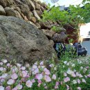 목수와 시인 이미지