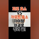 파로 효소 vs 카무트 효소 차이점 이걸로 한방에 끝! #효소 #파로 #카무트 이미지