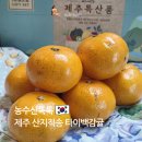 제주감귤농업협동조합 농산물산지유통센터(1유통) | 서귀포감귤 고당도 달달한 타이백감귤 제주 산지직송 농수산톡톡 후기