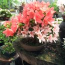 송도역공인중개사사무소 이미지